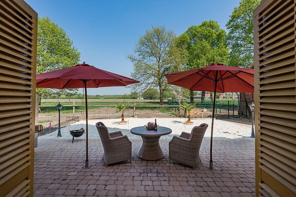 Ferienwohnungen Und Zimmer Hof Holtmann Мюнстер Екстериор снимка